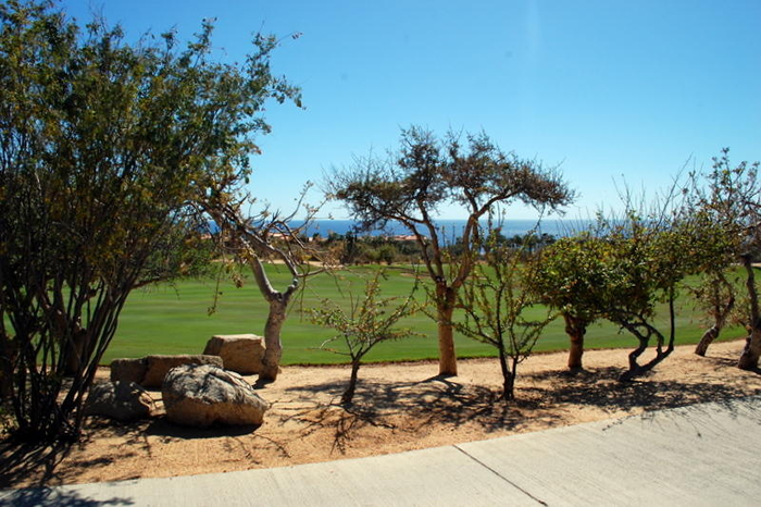 Cabo San Lucas Homesites in Cabo del Sol